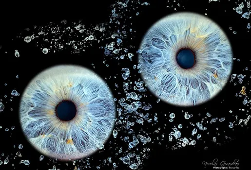 photographie à Beaupréau en Maine-et-Loire 49