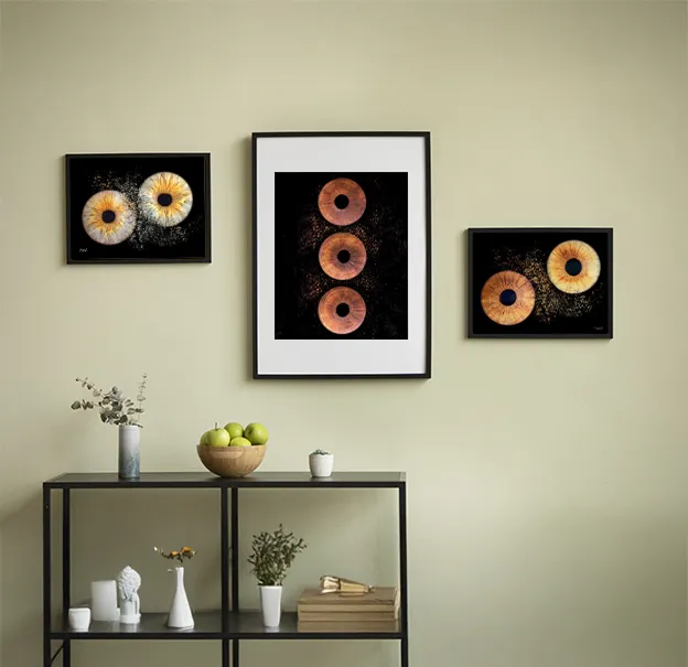 cadre photos iris à Beaupréau en Maine-et-Loire 49