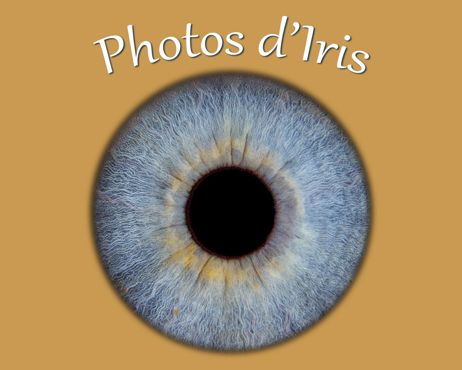 Photos d'Iris de vos yeux