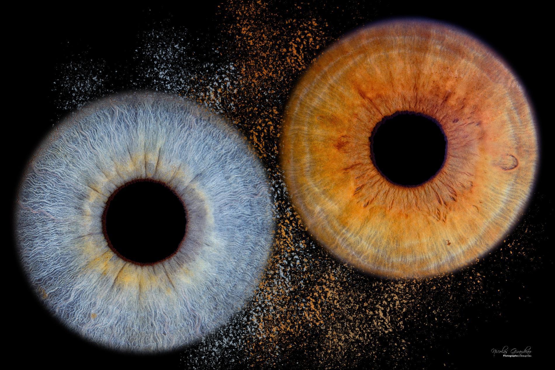 Photos d'Iris de vos yeux