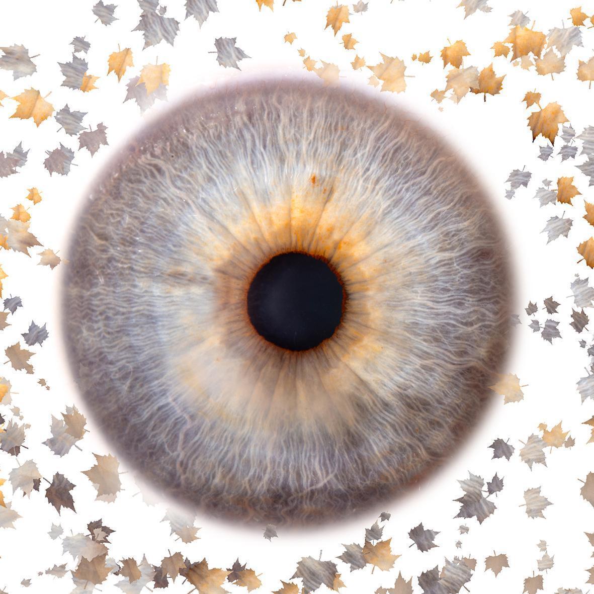 Photos d'Iris de vos yeux